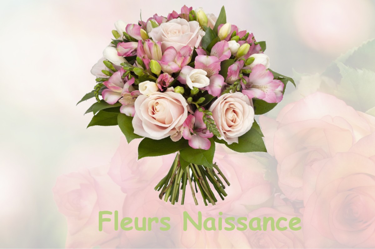 fleurs naissance SALMAGNE