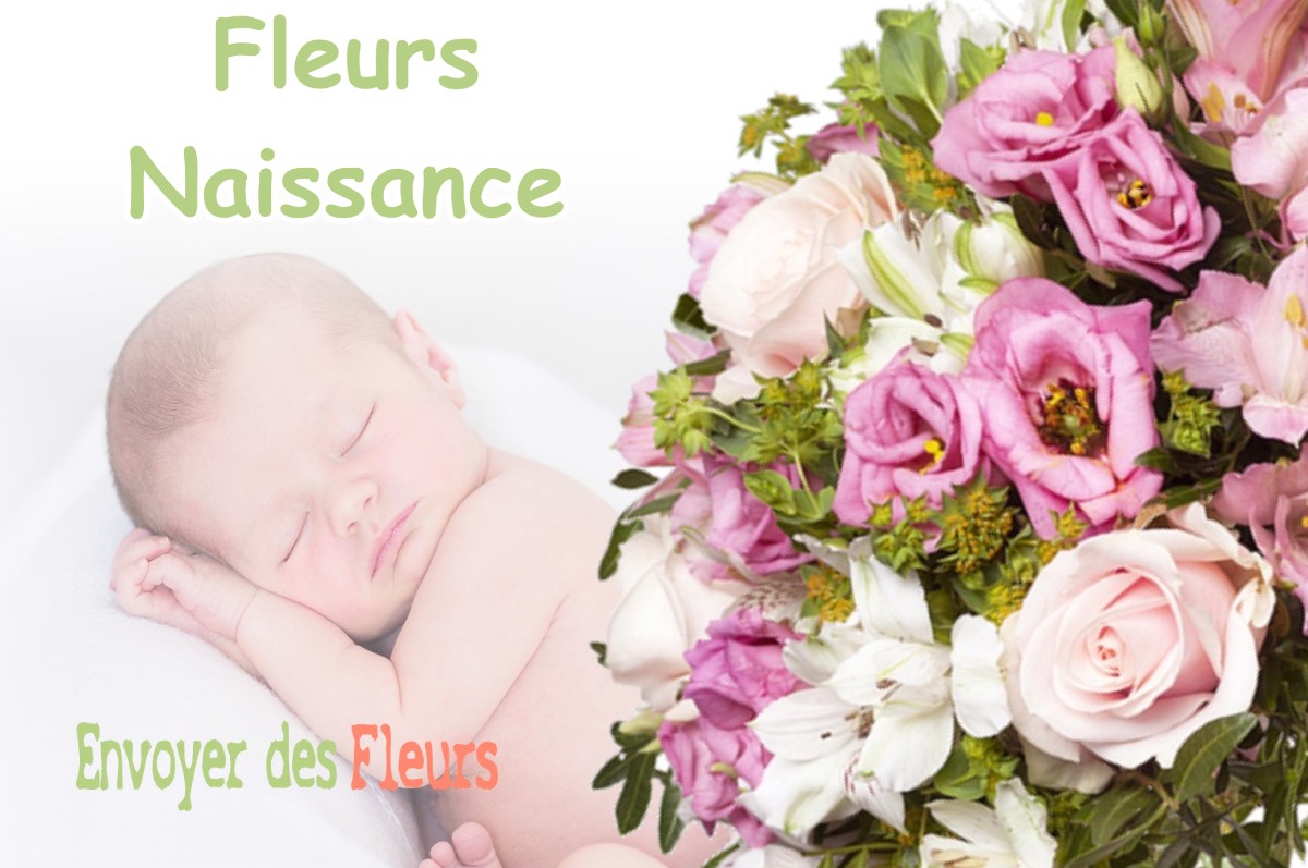 lIVRAISON FLEURS NAISSANCE à SALMAGNE